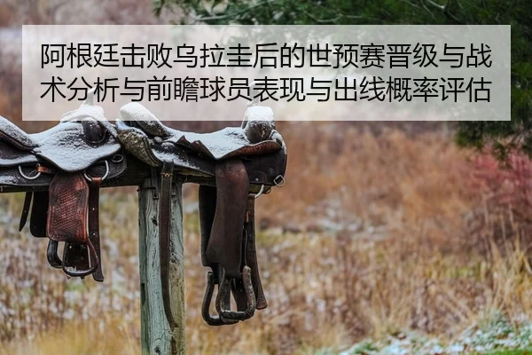 阿根廷击败乌拉圭后的世预赛晋级与战术分析与前瞻球员表现与出线概率评估